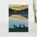 Search for elk cards Lake