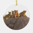Search for lioness ornaments Cat