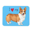 Recherche de gallois magnets Corgi