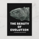Search for evolution of postcards Biology