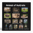 Search for mammals avery binders Wildlife
