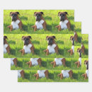 Recherche de chien boxeur papier cadeau Amoureux des chiens