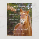 Search for save a horse postcards Bride