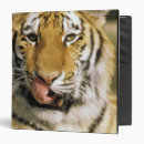 Search for cat eye binders Whisker