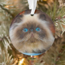 Search for himalayan cat ornaments Kitten