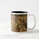 Search for mara mugs Big cat