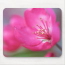 Search for apple mousepads Photography