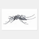Search for mosquito stickers Insects
