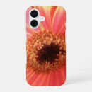 Search for gerbera daisy iphone cases Red