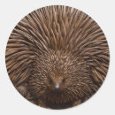 Search for wood texture stickers Textured