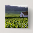Recherche de vignoble badges Europe