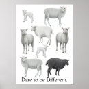 Recherche de brebis posters Moutons