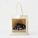 Recherche de races accessoires Pour animaux