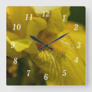 Search for iris clocks Garden
