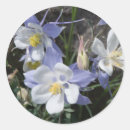 Search for mountain flower stickers Wildflowers