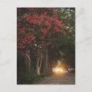 Recherche de myrte cartes postales Ville