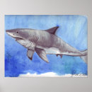 Search for great white shark posters Blue