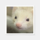 Recherche de furet serviettes Animal