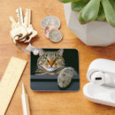 Search for gray cat keychains Kitten