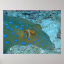 Recherche de scaphandre posters Plongée