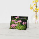 Search for bee sayings cards For her