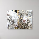 Search for goat canvas prints Cute