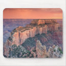 Search for barrenness electronics Arizona