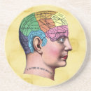 Recherche de crâne humain dessous de verres Anatomie