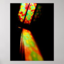 Recherche de surprise art Coloré