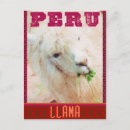 Recherche de lamas cartes postales Voyage