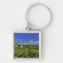 Search for vineyards keychains Italy