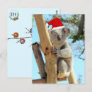 Search for koala postcards Australian wildlife