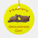 Search for groundhog ornaments Cute