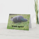 Search for funny pigeon cards Cute