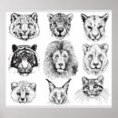 Search for tiger drawing posters Pattern