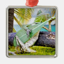 Search for stocking ornaments Gifts