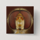 Recherche de composition badges Animal