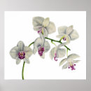 Recherche de watercolour posters Floral