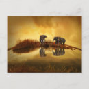 Recherche de elephants cartes postales Éléphants