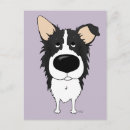 Search for border collie postcards Pets