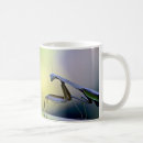 Search for mystical mugs Insect