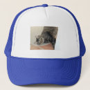 Recherche de personne de chat casquettes Animaux