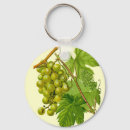 Search for vine keychains Nature