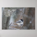 Search for chickadee posters Winter