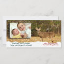 Search for oh deer christmas cards Buck