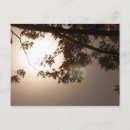 Search for backlit postcards Tree