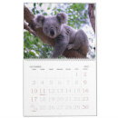 Search for koala calendars Bear