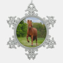 Search for icelandic ornaments Horse
