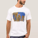 Recherche de trembles tshirts Amérique du nord
