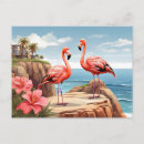 Search for flamingo picture postcards Bird